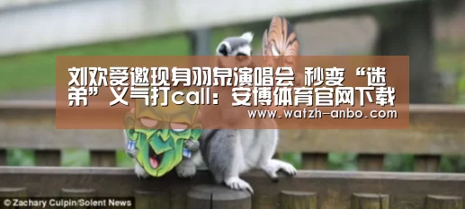 刘欢受邀现身羽泉演唱会 秒变“迷弟”义气打call:安博体育官网下载(图3) 安博体育官网下载