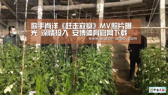 歌手肖洋《赶走寂寞》MV照片曝光 深情投入_安博体育官网下载(图1) 安博体育官网下载