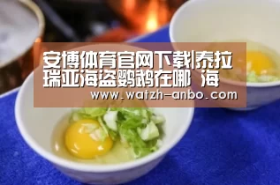 安博体育官网下载|泰拉瑞亚海盗鹦鹉在哪 海盗鹦鹉掉落和打法详解(图3) 安博体育官网下载