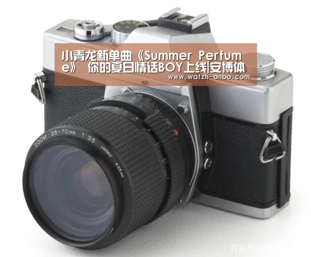 小青龙新单曲《Summer Perfume》 你的夏日情话BOY上线|安博体育官网下载(图1) 安博体育官网下载